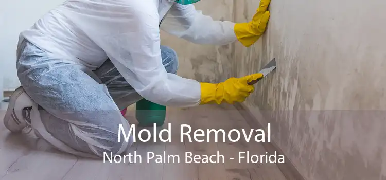 Mold Removal North Palm Beach - Florida