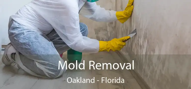 Mold Removal Oakland - Florida