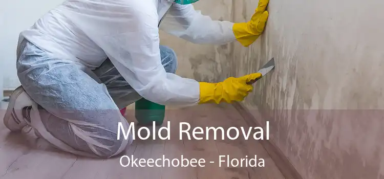 Mold Removal Okeechobee - Florida