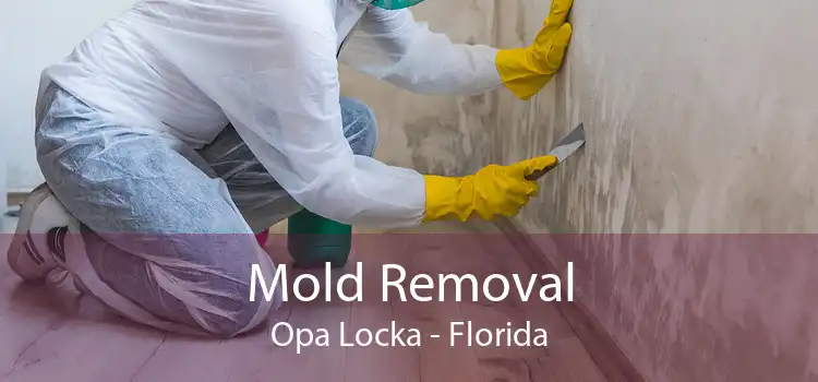Mold Removal Opa Locka - Florida