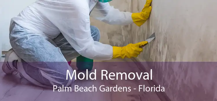 Mold Removal Palm Beach Gardens - Florida
