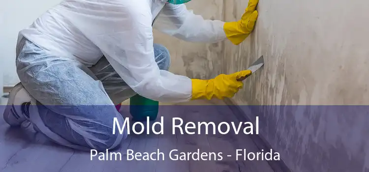 Mold Removal Palm Beach Gardens - Florida