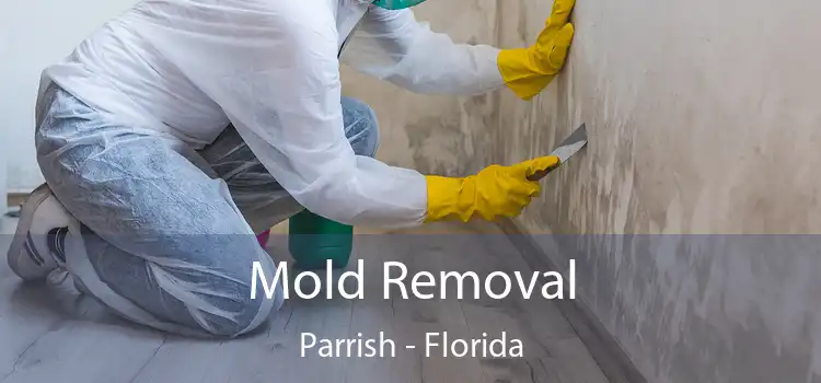 Mold Removal Parrish - Florida