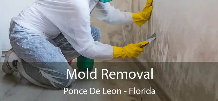 Mold Removal Ponce De Leon - Florida