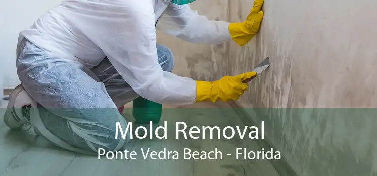 Mold Removal Ponte Vedra Beach - Florida