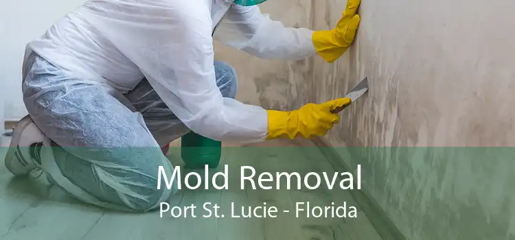 Mold Removal Port St. Lucie - Florida