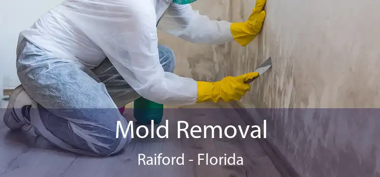 Mold Removal Raiford - Florida