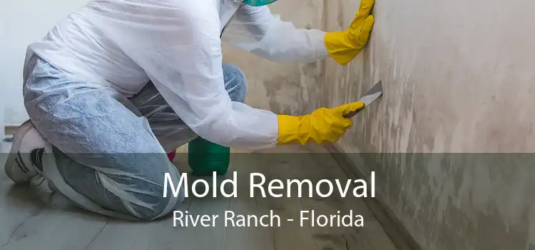 Mold Removal River Ranch - Florida