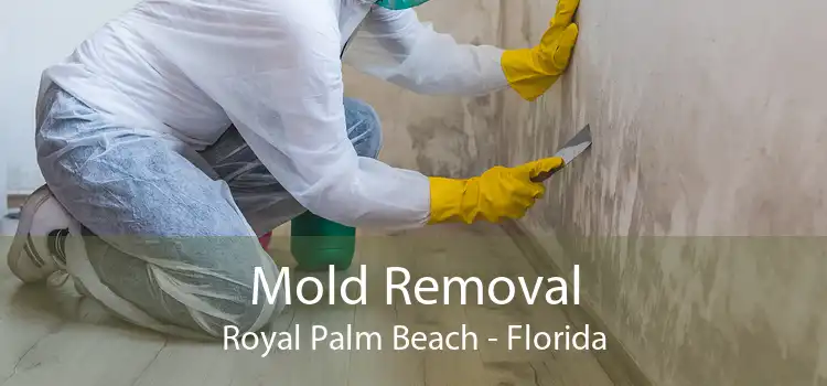 Mold Removal Royal Palm Beach - Florida