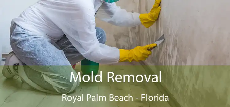 Mold Removal Royal Palm Beach - Florida