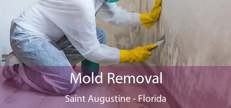 Mold Removal Saint Augustine - Florida