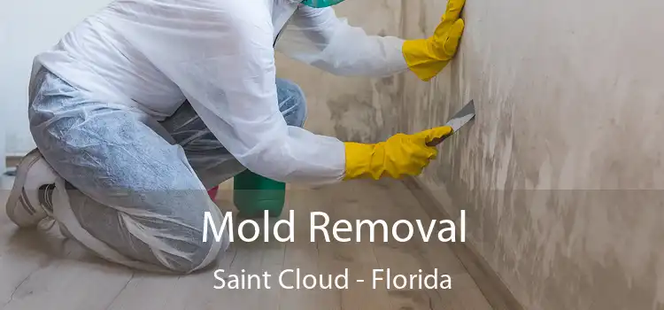 Mold Removal Saint Cloud - Florida