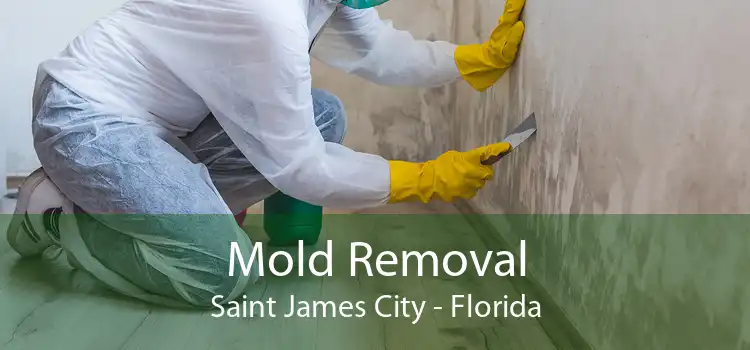 Mold Removal Saint James City - Florida