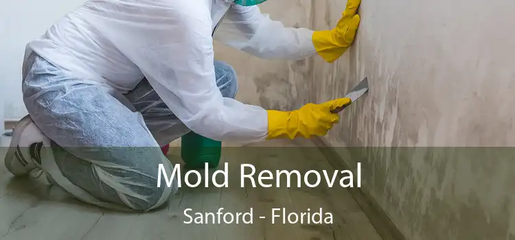 Mold Removal Sanford - Florida