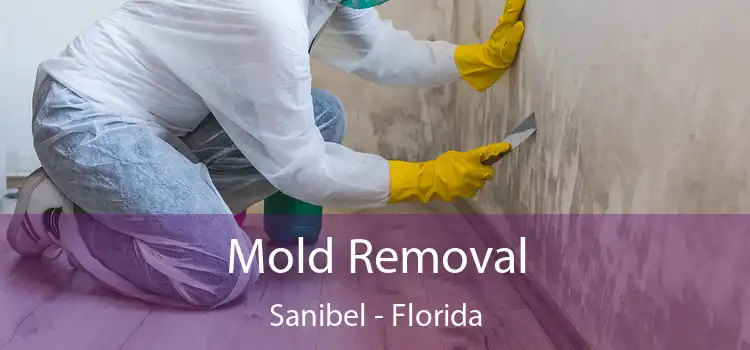 Mold Removal Sanibel - Florida