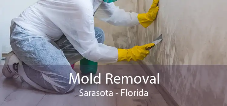Mold Removal Sarasota - Florida