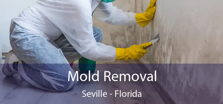 Mold Removal Seville - Florida