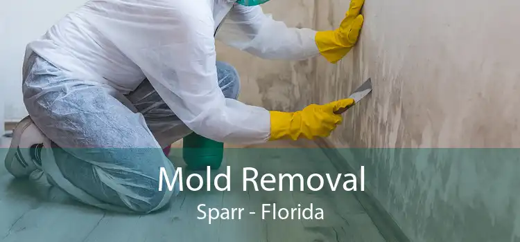 Mold Removal Sparr - Florida