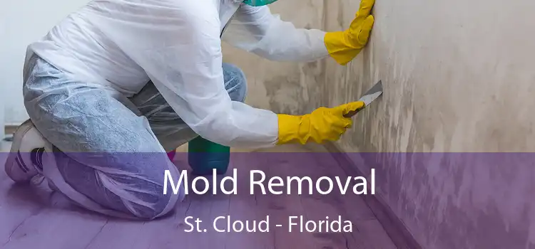 Mold Removal St. Cloud - Florida