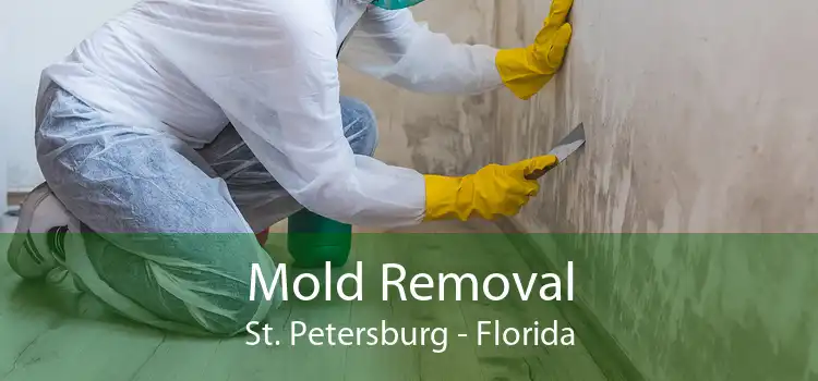 Mold Removal St. Petersburg - Florida