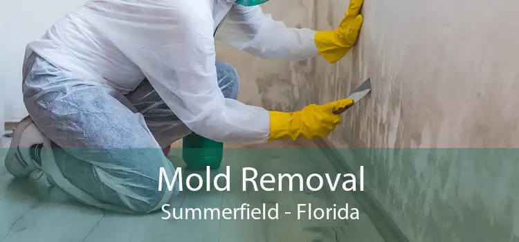 Mold Removal Summerfield - Florida