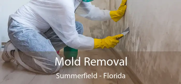 Mold Removal Summerfield - Florida