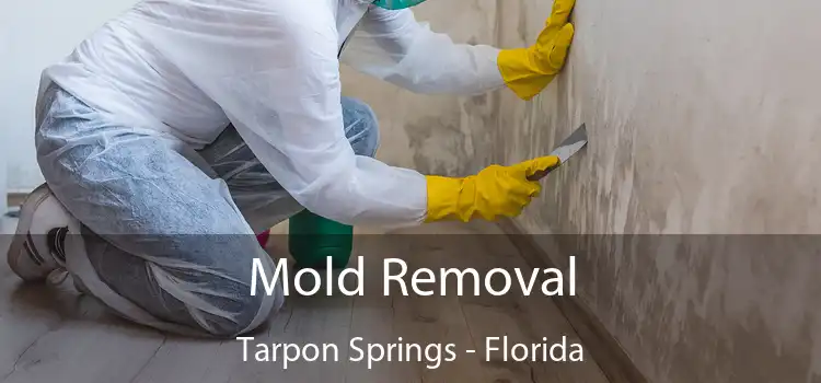 Mold Removal Tarpon Springs - Florida