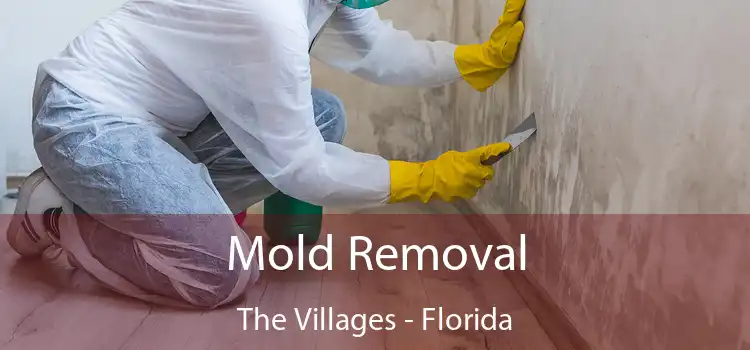 Mold Removal The Villages - Florida