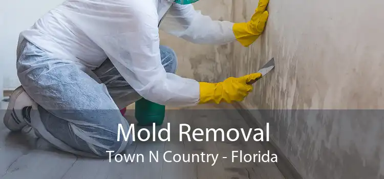 Mold Removal Town N Country - Florida