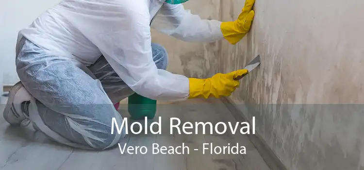Mold Removal Vero Beach - Florida