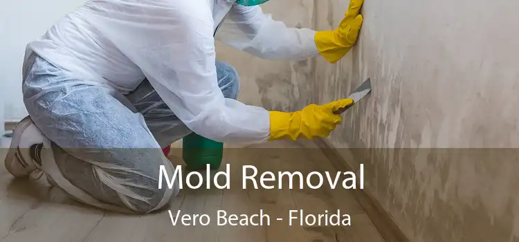 Mold Removal Vero Beach - Florida