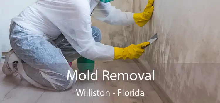 Mold Removal Williston - Florida