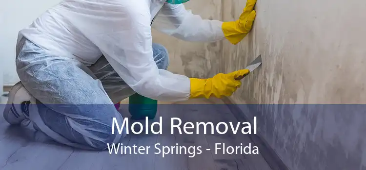 Mold Removal Winter Springs - Florida