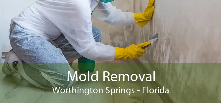 Mold Removal Worthington Springs - Florida