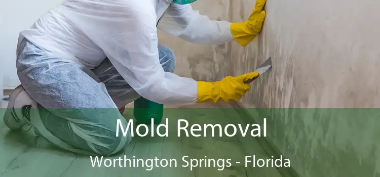 Mold Removal Worthington Springs - Florida