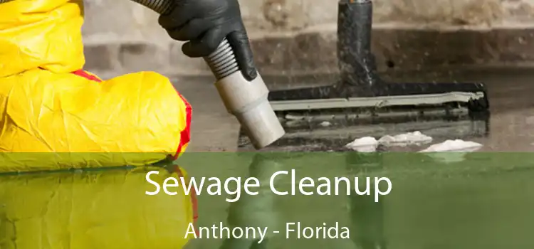 Sewage Cleanup Anthony - Florida