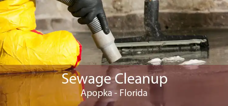 Sewage Cleanup Apopka - Florida