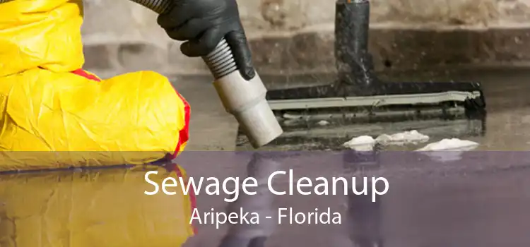 Sewage Cleanup Aripeka - Florida