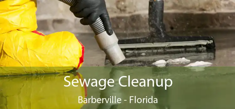 Sewage Cleanup Barberville - Florida