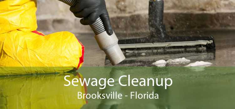 Sewage Cleanup Brooksville - Florida
