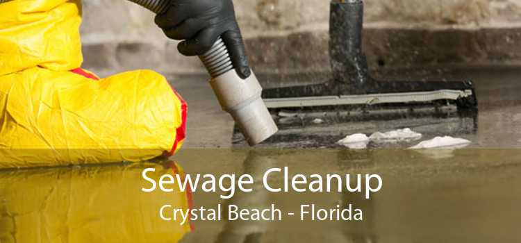 Sewage Cleanup Crystal Beach - Florida
