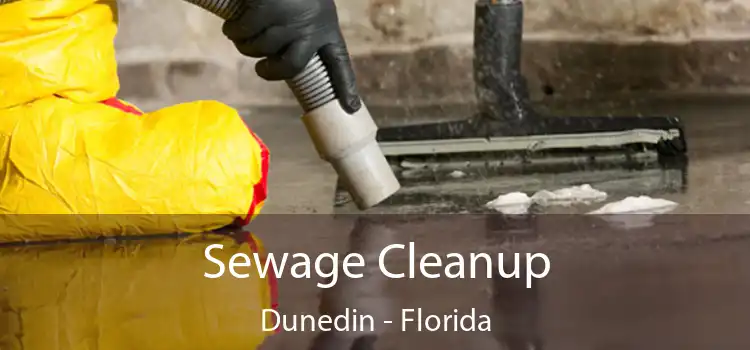 Sewage Cleanup Dunedin - Florida