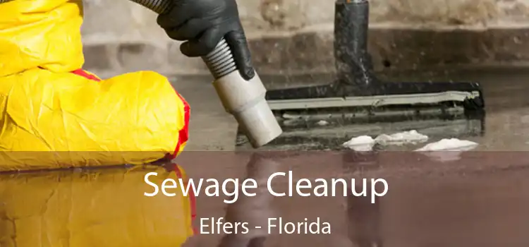 Sewage Cleanup Elfers - Florida