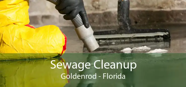 Sewage Cleanup Goldenrod - Florida