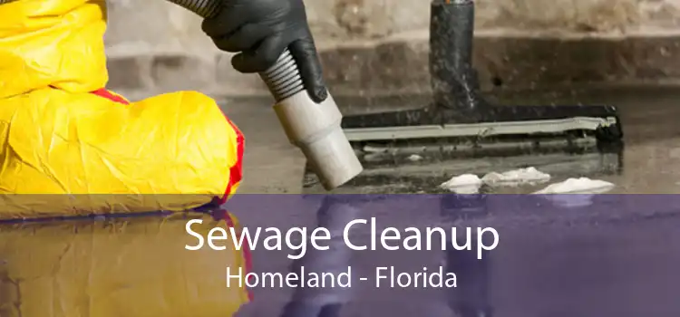 Sewage Cleanup Homeland - Florida