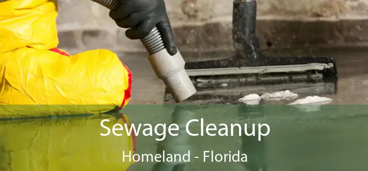 Sewage Cleanup Homeland - Florida