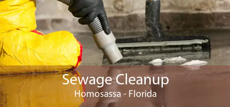 Sewage Cleanup Homosassa - Florida