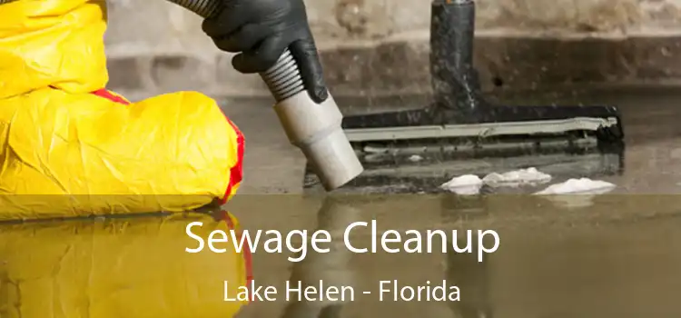 Sewage Cleanup Lake Helen - Florida