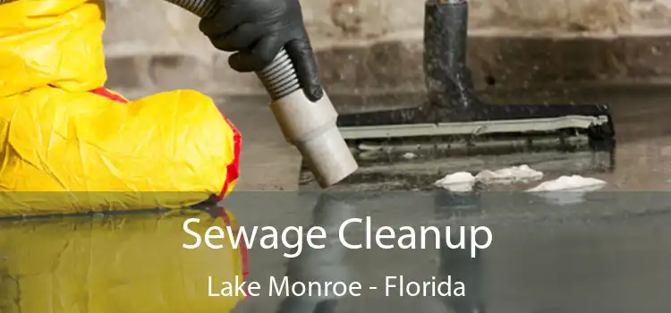 Sewage Cleanup Lake Monroe - Florida