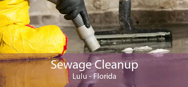 Sewage Cleanup Lulu - Florida